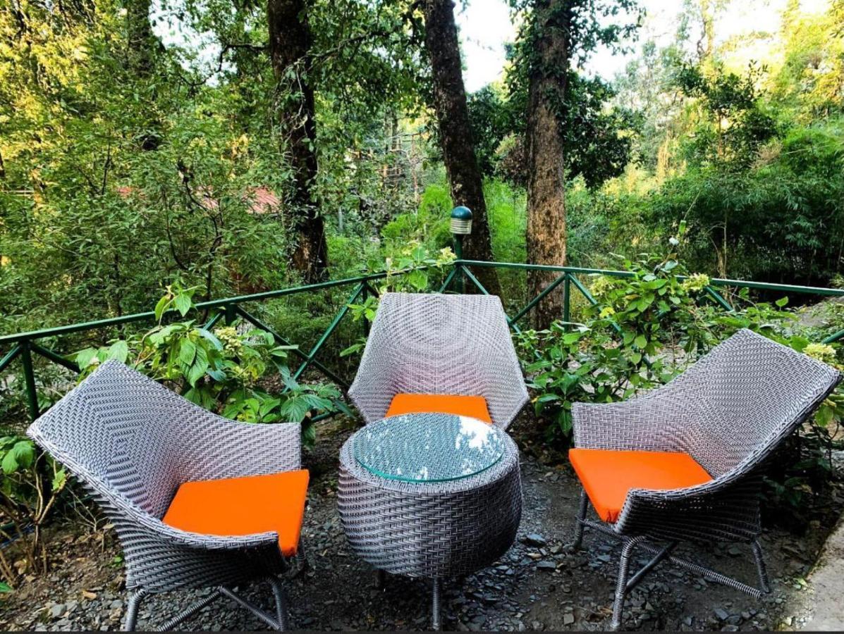 Ayar Jungle Resort Nainital Εξωτερικό φωτογραφία