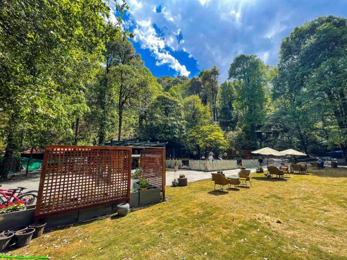 Ayar Jungle Resort Nainital Εξωτερικό φωτογραφία