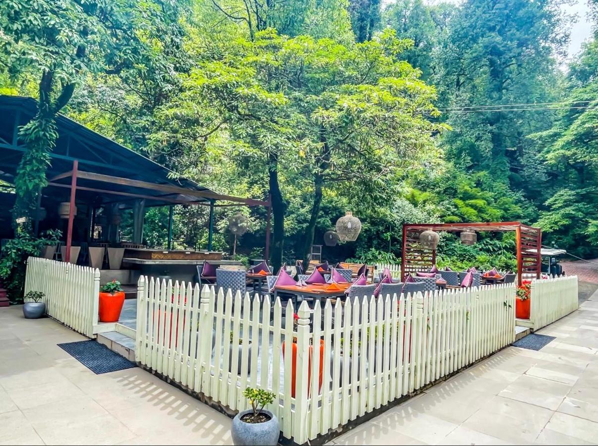 Ayar Jungle Resort Nainital Εξωτερικό φωτογραφία