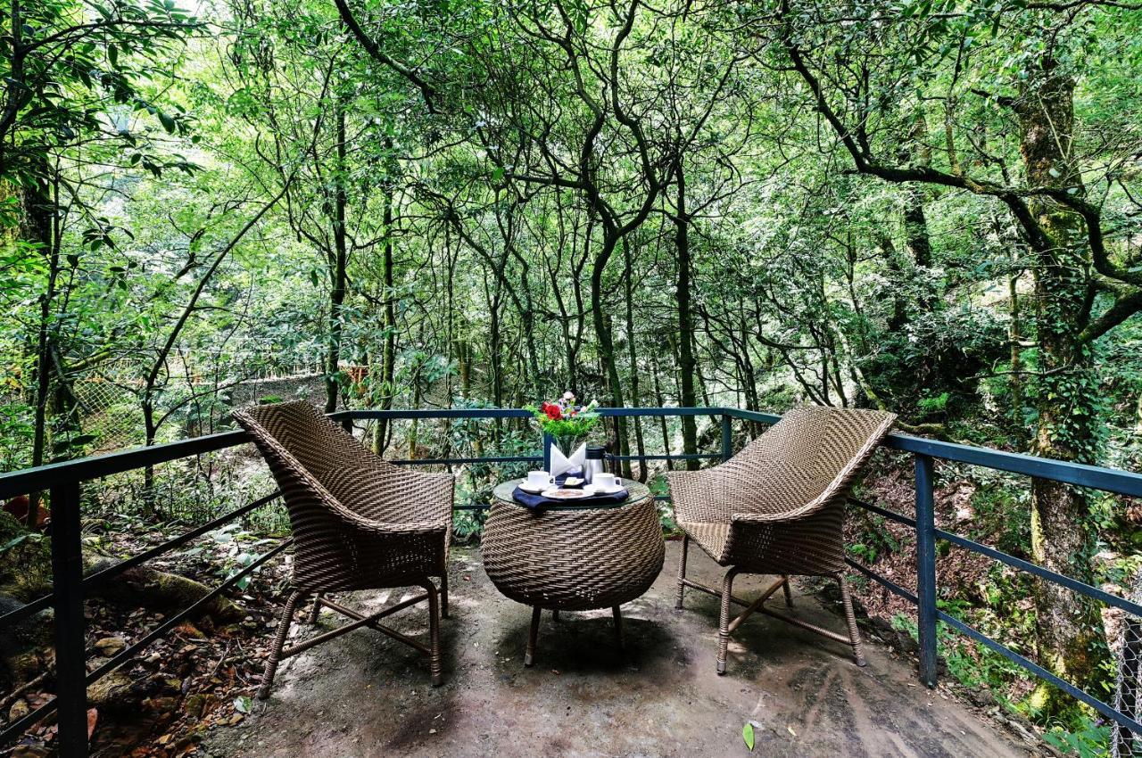 Ayar Jungle Resort Nainital Εξωτερικό φωτογραφία