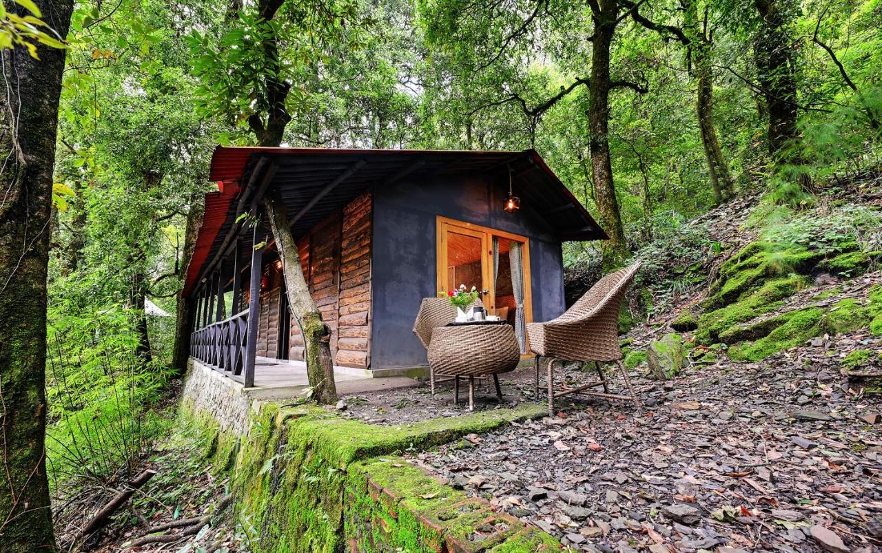Ayar Jungle Resort Nainital Εξωτερικό φωτογραφία