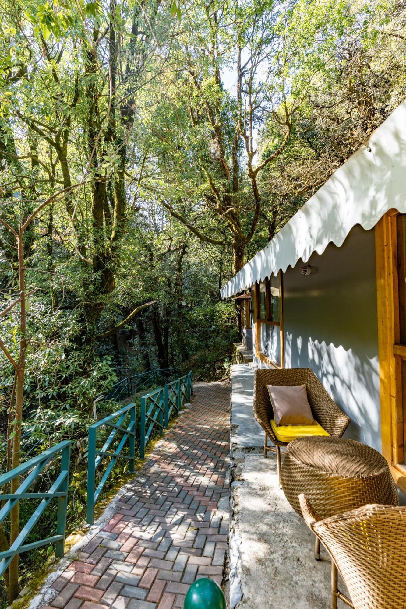 Ayar Jungle Resort Nainital Εξωτερικό φωτογραφία