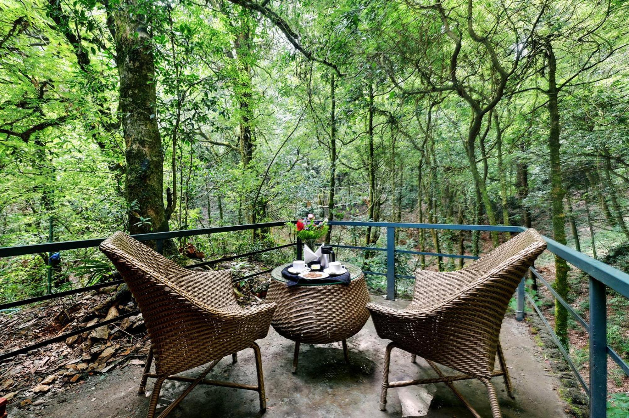Ayar Jungle Resort Nainital Εξωτερικό φωτογραφία
