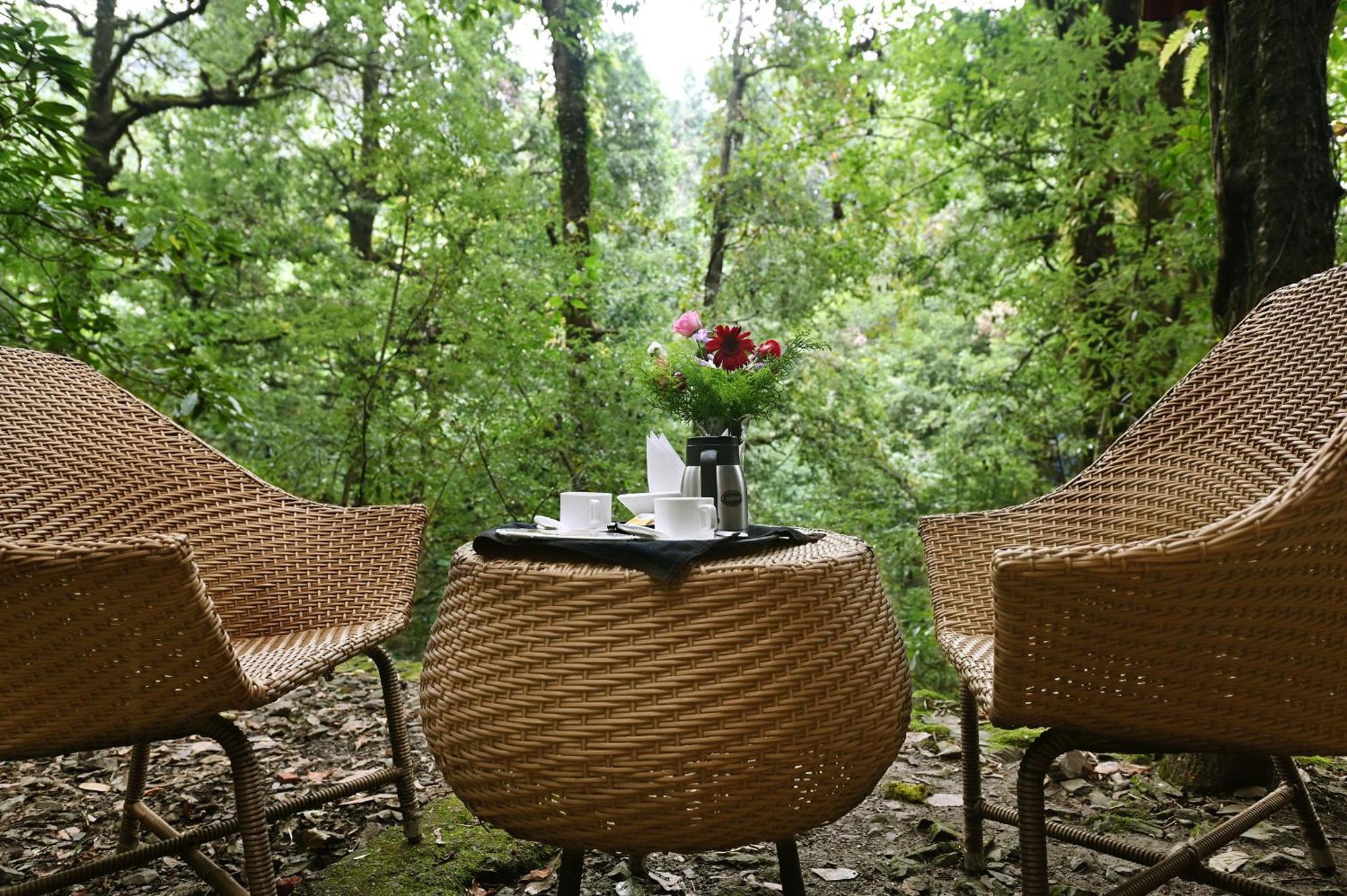 Ayar Jungle Resort Nainital Εξωτερικό φωτογραφία